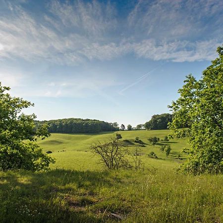 Nengshof Ferienhaus Gaensebluemchen Wißmannsdorf Екстериор снимка